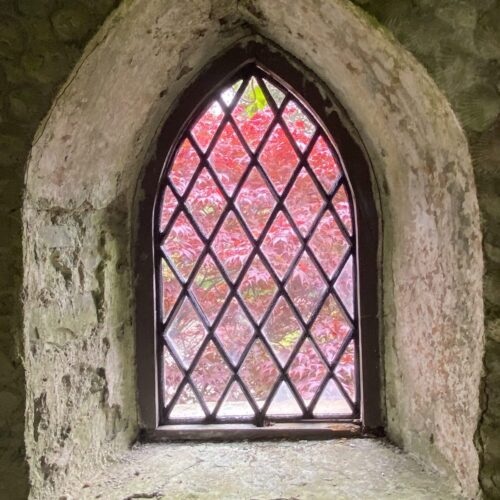 Rediscovery and Restoration