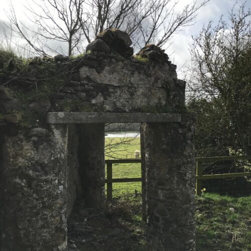 Rediscovery and Restoration