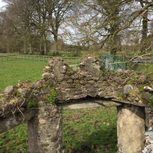 Rediscovery and Restoration