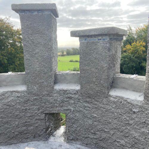 Rediscovery and Restoration