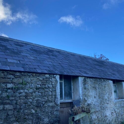 Rediscovery and Restoration